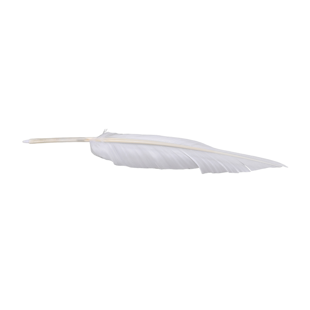 Frieren Cosplay Prop - Accessoires de déguisement Anime Sousou de