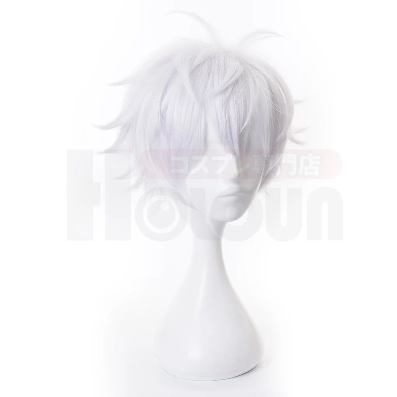 ❤️ ❤️ ❤️ Perruque de cosplay S - Wig Fiber Net avis et prix